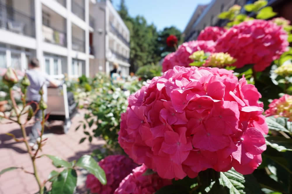 Hotel Laguna in Mrzezyno