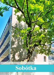 Hotel Sobotka in Swinemünde